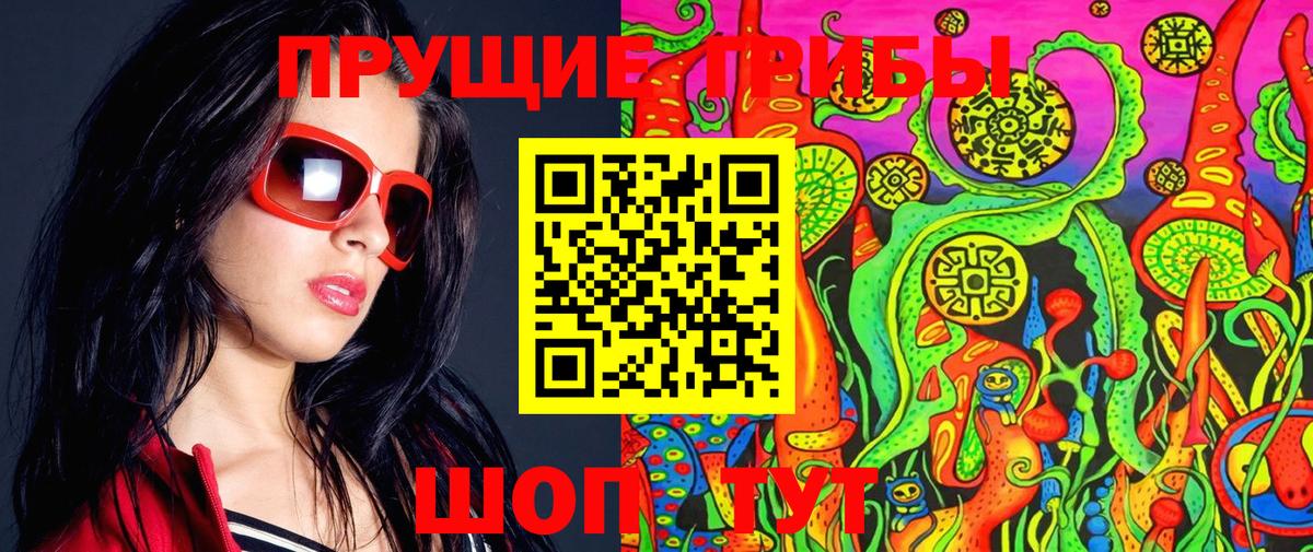 купить закладку  Псилоцибиновые грибы Cubensis  Вход с VPN  Котовск 